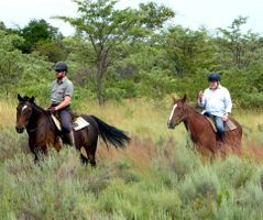 Exploring shrubveld in South Africa on horseback