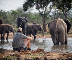 Watching elephants from camp