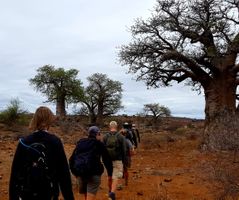 Walking Safari in South Africa